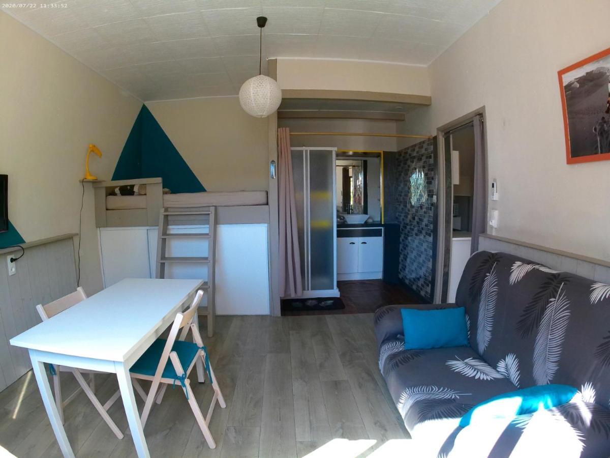 Grand Climatise Proche Du Centre Au Calme Appartement *